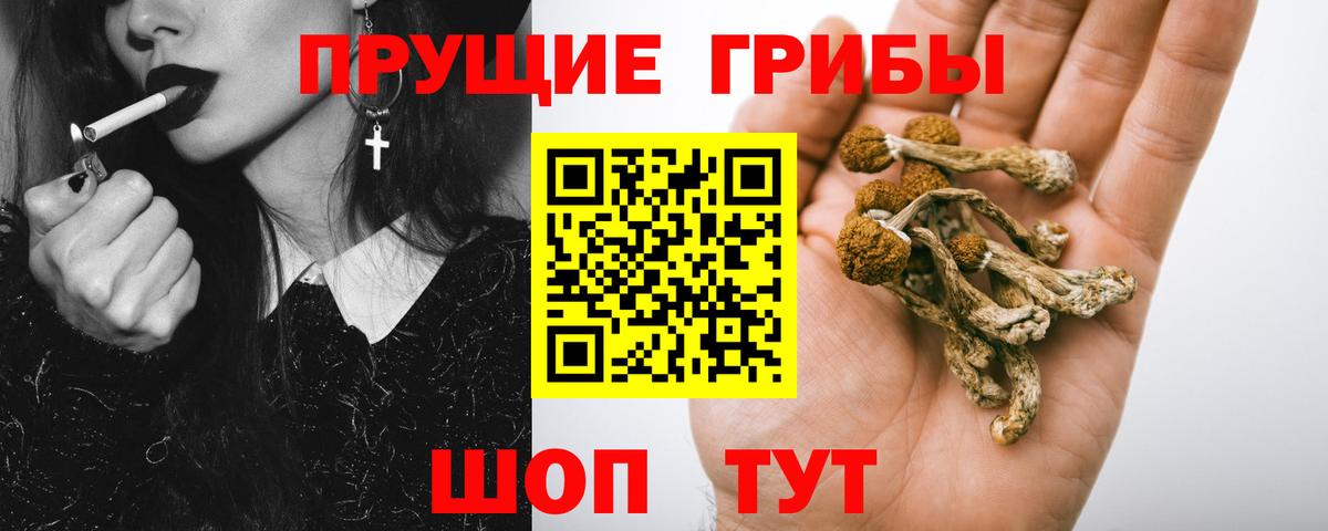 Галлюциногенные грибы Cubensis  где купить наркоту  Кузнецк  Псилоцибиновые грибы Cubensis  Вход с VPN 